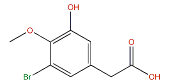 2-(3-Bromo-5-hydroxy-4-methoxyphenyl)-acetic acid